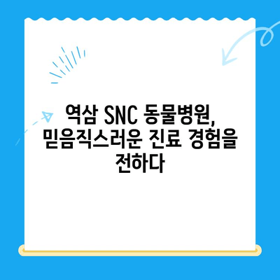 역삼 SNC 동물병원 진료 후기| 냥냥이의 건강을 지키는 따뜻한 경험 | 고양이 진료, 역삼 동물병원, SNC 동물병원, 진료 후기