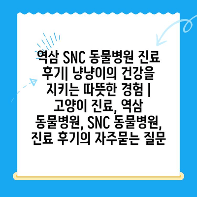 역삼 SNC 동물병원 진료 후기| 냥냥이의 건강을 지키는 따뜻한 경험 | 고양이 진료, 역삼 동물병원, SNC 동물병원, 진료 후기