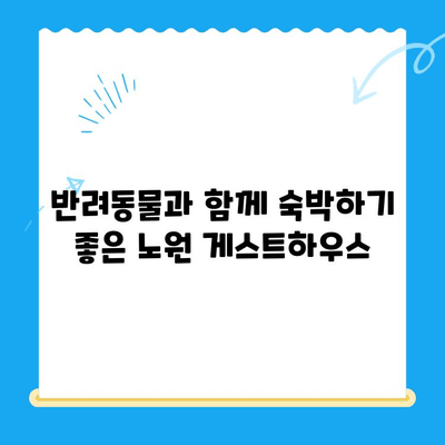 노원 24시 동물병원 주변, 딱 맞는 게스트하우스 찾기 | 노원, 동물병원, 게스트하우스, 숙박, 추천