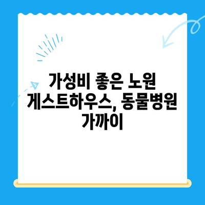 노원 24시 동물병원 주변, 딱 맞는 게스트하우스 찾기 | 노원, 동물병원, 게스트하우스, 숙박, 추천