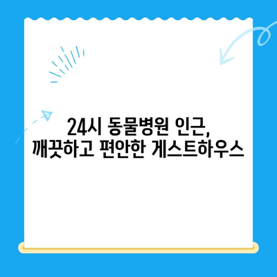 노원 24시 동물병원 주변, 딱 맞는 게스트하우스 찾기 | 노원, 동물병원, 게스트하우스, 숙박, 추천