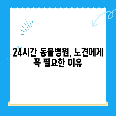 성북구 24시간 동물병원 노견 면역력 검사 후기|  우리 댕댕이 건강 지키기 | 노견 건강, 면역력 강화, 동물병원 추천