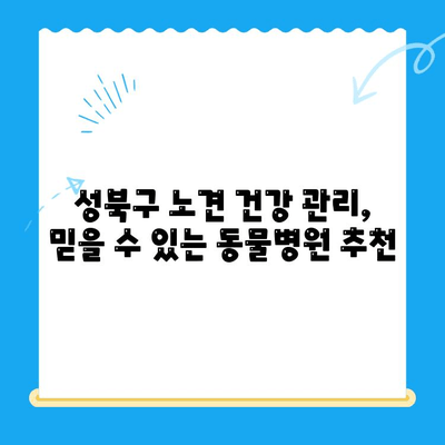 성북구 24시간 동물병원 노견 면역력 검사 후기|  우리 댕댕이 건강 지키기 | 노견 건강, 면역력 강화, 동물병원 추천