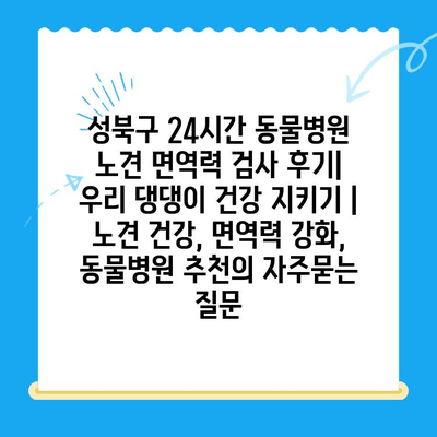 성북구 24시간 동물병원 노견 면역력 검사 후기|  우리 댕댕이 건강 지키기 | 노견 건강, 면역력 강화, 동물병원 추천