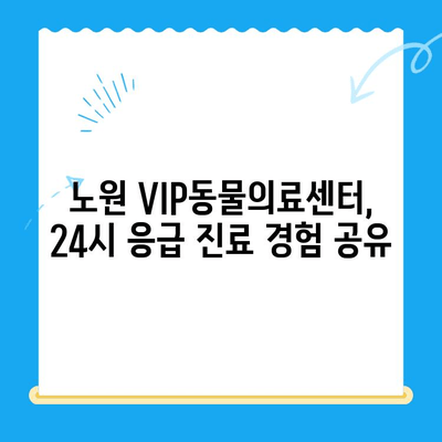 노원 VIP동물의료센터 강아지 건강검진 & 초음파 검사 24시 이용 후기| 솔직한 경험 공유 | 강아지 건강, 동물병원 추천, 24시 응급 진료