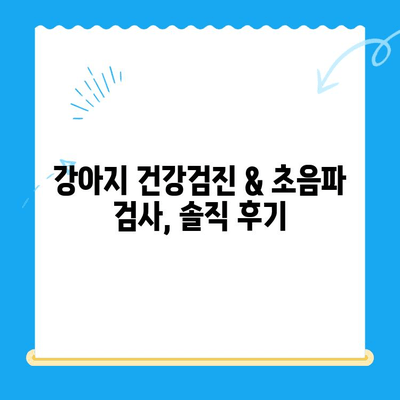 노원 VIP동물의료센터 강아지 건강검진 & 초음파 검사 24시 이용 후기| 솔직한 경험 공유 | 강아지 건강, 동물병원 추천, 24시 응급 진료