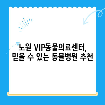 노원 VIP동물의료센터 강아지 건강검진 & 초음파 검사 24시 이용 후기| 솔직한 경험 공유 | 강아지 건강, 동물병원 추천, 24시 응급 진료