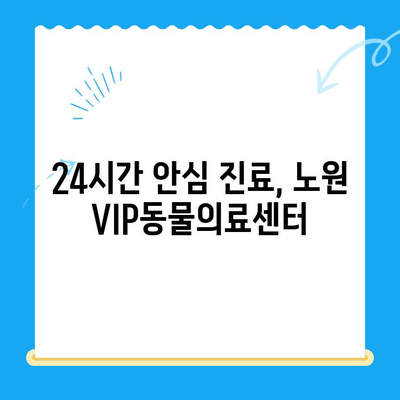 노원 VIP동물의료센터 강아지 건강검진 & 초음파 검사 24시 이용 후기| 솔직한 경험 공유 | 강아지 건강, 동물병원 추천, 24시 응급 진료