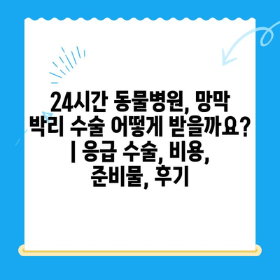 24시간 동물병원, 망막 박리 수술 어떻게 받을까요? | 응급 수술, 비용, 준비물, 후기