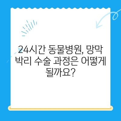 24시간 동물병원, 망막 박리 수술 어떻게 받을까요? | 응급 수술, 비용, 준비물, 후기