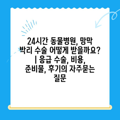 24시간 동물병원, 망막 박리 수술 어떻게 받을까요? | 응급 수술, 비용, 준비물, 후기