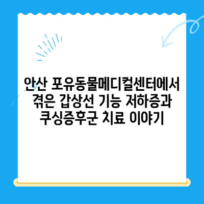 안산 포유동물메디컬센터 갑상선 기능 저하증 & 쿠싱증후군 치료 후기| 반려동물 건강 회복 이야기 | 갑상선, 쿠싱, 안산 동물병원, 치료 경험