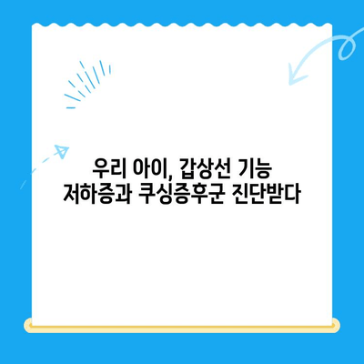 안산 포유동물메디컬센터 갑상선 기능 저하증 & 쿠싱증후군 치료 후기| 반려동물 건강 회복 이야기 | 갑상선, 쿠싱, 안산 동물병원, 치료 경험