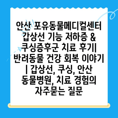 안산 포유동물메디컬센터 갑상선 기능 저하증 & 쿠싱증후군 치료 후기| 반려동물 건강 회복 이야기 | 갑상선, 쿠싱, 안산 동물병원, 치료 경험