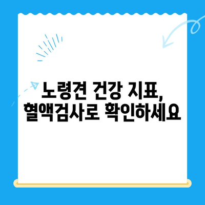 성북구 24시 동물병원 노견 강아지 혈액검사 후기| 건강 상태 확인 및 결과 분석 | 노령견 건강 관리, 혈액검사 결과 해석, 동물병원 추천