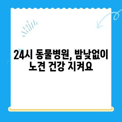 성북구 24시 동물병원 노견 강아지 혈액검사 후기| 건강 상태 확인 및 결과 분석 | 노령견 건강 관리, 혈액검사 결과 해석, 동물병원 추천