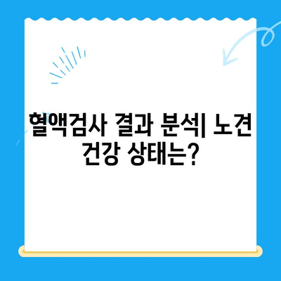 성북구 24시 동물병원 노견 강아지 혈액검사 후기| 건강 상태 확인 및 결과 분석 | 노령견 건강 관리, 혈액검사 결과 해석, 동물병원 추천