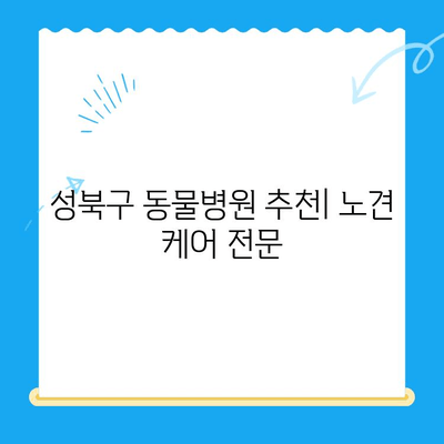 성북구 24시 동물병원 노견 강아지 혈액검사 후기| 건강 상태 확인 및 결과 분석 | 노령견 건강 관리, 혈액검사 결과 해석, 동물병원 추천
