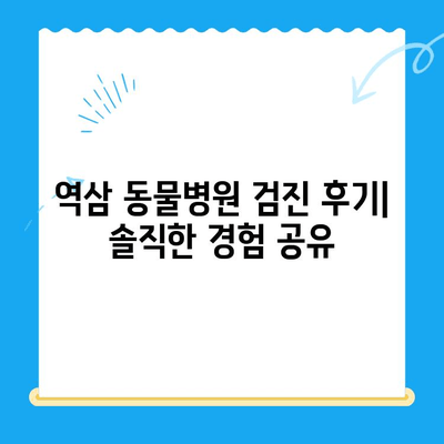 역삼 동물병원 검진 후기| 솔직한 경험 공유 | 강남, 동물병원 추천, 건강검진