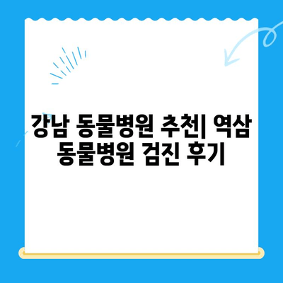역삼 동물병원 검진 후기| 솔직한 경험 공유 | 강남, 동물병원 추천, 건강검진