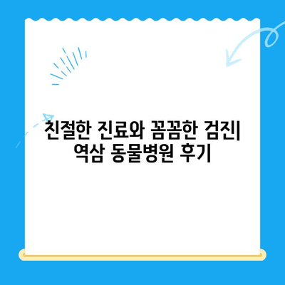 역삼 동물병원 검진 후기| 솔직한 경험 공유 | 강남, 동물병원 추천, 건강검진