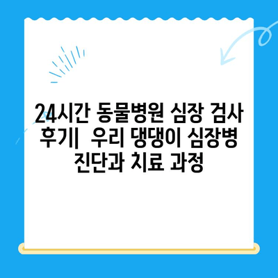 24시간 동물병원 심장 검사 후기| 우리 댕댕이 