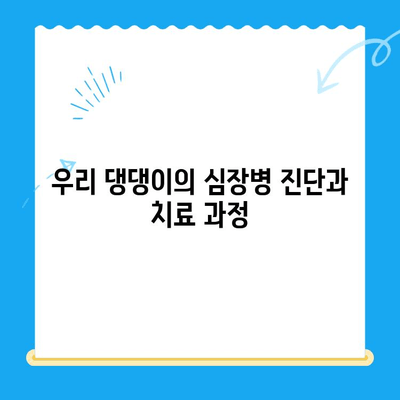 24시간 동물병원 심장 검사 후기| 우리 댕댕이 