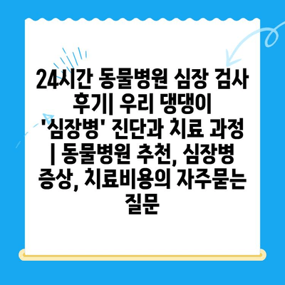 24시간 동물병원 심장 검사 후기| 우리 댕댕이 