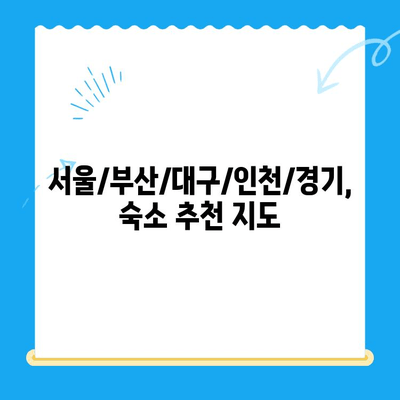 24시 고양이 동물병원 근처, 숙박 고민 해결! 추천 숙소 리스트 | 서울, 부산, 대구, 인천, 경기, 숙박 정보, 동물병원 근처, 야간 진료