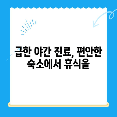 24시 고양이 동물병원 근처, 숙박 고민 해결! 추천 숙소 리스트 | 서울, 부산, 대구, 인천, 경기, 숙박 정보, 동물병원 근처, 야간 진료