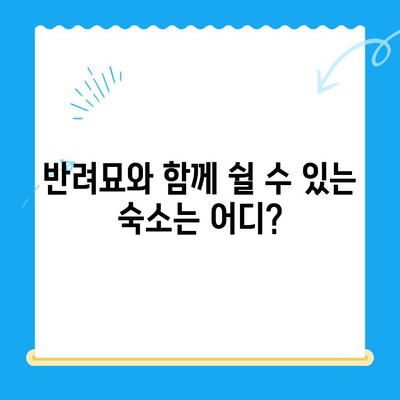 24시 고양이 동물병원 근처, 숙박 고민 해결! 추천 숙소 리스트 | 서울, 부산, 대구, 인천, 경기, 숙박 정보, 동물병원 근처, 야간 진료