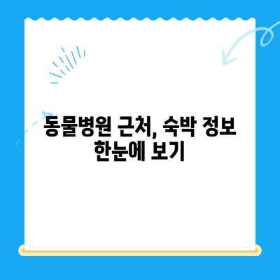 24시 고양이 동물병원 근처, 숙박 고민 해결! 추천 숙소 리스트 | 서울, 부산, 대구, 인천, 경기, 숙박 정보, 동물병원 근처, 야간 진료