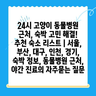 24시 고양이 동물병원 근처, 숙박 고민 해결! 추천 숙소 리스트 | 서울, 부산, 대구, 인천, 경기, 숙박 정보, 동물병원 근처, 야간 진료