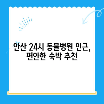 안산 24시 동물병원 근처, 숙박하기 좋은 곳 BEST 5 | 안산, 동물병원, 숙박, 추천