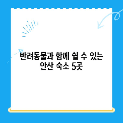안산 24시 동물병원 근처, 숙박하기 좋은 곳 BEST 5 | 안산, 동물병원, 숙박, 추천