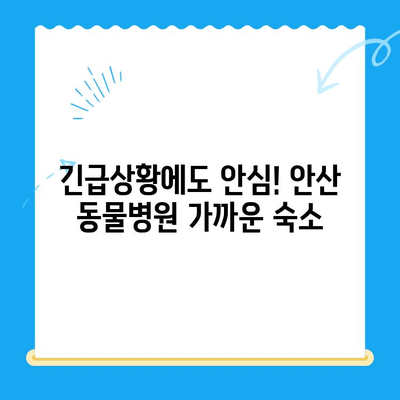 안산 24시 동물병원 근처, 숙박하기 좋은 곳 BEST 5 | 안산, 동물병원, 숙박, 추천