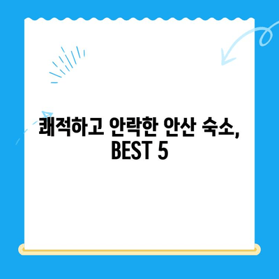 안산 24시 동물병원 근처, 숙박하기 좋은 곳 BEST 5 | 안산, 동물병원, 숙박, 추천