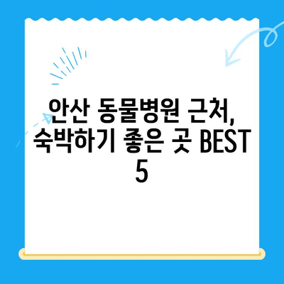 안산 24시 동물병원 근처, 숙박하기 좋은 곳 BEST 5 | 안산, 동물병원, 숙박, 추천