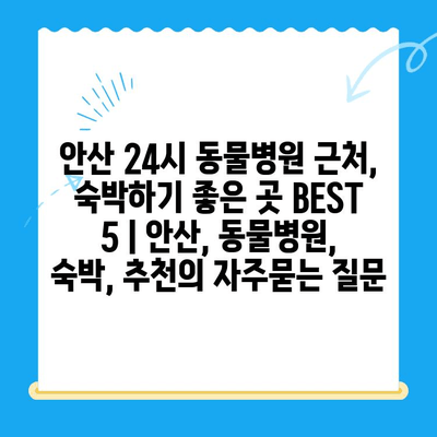안산 24시 동물병원 근처, 숙박하기 좋은 곳 BEST 5 | 안산, 동물병원, 숙박, 추천