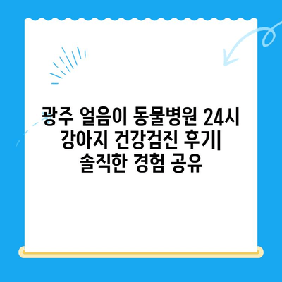 광주 얼음이 동물병원 24시 강아지 건강검진 이용 후기| 솔직한 경험 공유 | 광주, 동물병원, 건강검진, 24시, 강아지, 후기