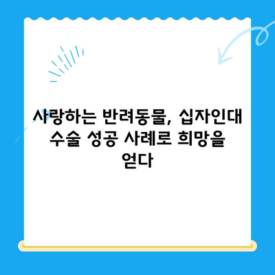 부천 동물의료센터 십자인대 수술 성공 사례| [반려동물 이름]이의 감동적인 회복 이야기 | 십자인대 수술, 부천 동물병원, 반려동물 재활