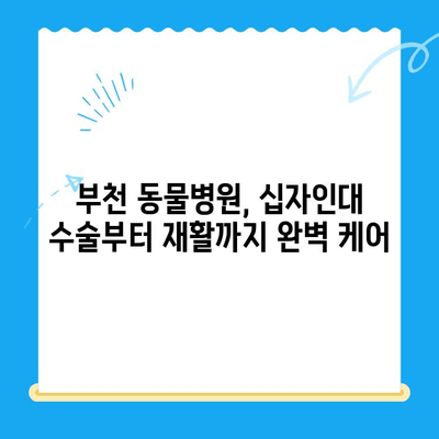 부천 동물의료센터 십자인대 수술 성공 사례| [반려동물 이름]이의 감동적인 회복 이야기 | 십자인대 수술, 부천 동물병원, 반려동물 재활