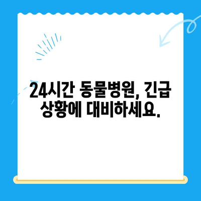 고양이 건강 체크 가이드| 24시간 동물병원 이용 및 건강 관리 팁 | 고양이 건강, 응급 상황, 동물병원, 건강 관리