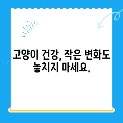 고양이 건강 체크 가이드| 24시간 동물병원 이용 및 건강 관리 팁 | 고양이 건강, 응급 상황, 동물병원, 건강 관리