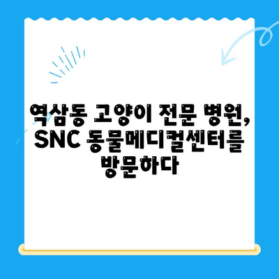 역삼동 고양이 진료, SNC 동물메디컬센터 진료 체험 후기 | 역삼동물병원, 고양이병원, 진료 경험