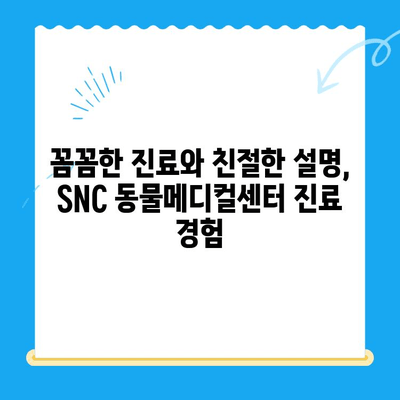 역삼동 고양이 진료, SNC 동물메디컬센터 진료 체험 후기 | 역삼동물병원, 고양이병원, 진료 경험