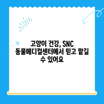 역삼동 고양이 진료, SNC 동물메디컬센터 진료 체험 후기 | 역삼동물병원, 고양이병원, 진료 경험