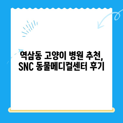 역삼동 고양이 진료, SNC 동물메디컬센터 진료 체험 후기 | 역삼동물병원, 고양이병원, 진료 경험