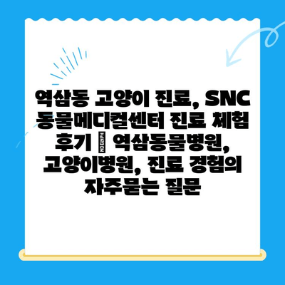 역삼동 고양이 진료, SNC 동물메디컬센터 진료 체험 후기 | 역삼동물병원, 고양이병원, 진료 경험