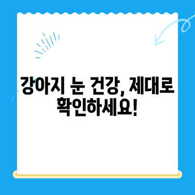 강아지 안과 검진 필수 체크리스트| 처인구동물병원24시 | 강아지 안과 질환, 안과 검진, 처인구 동물병원